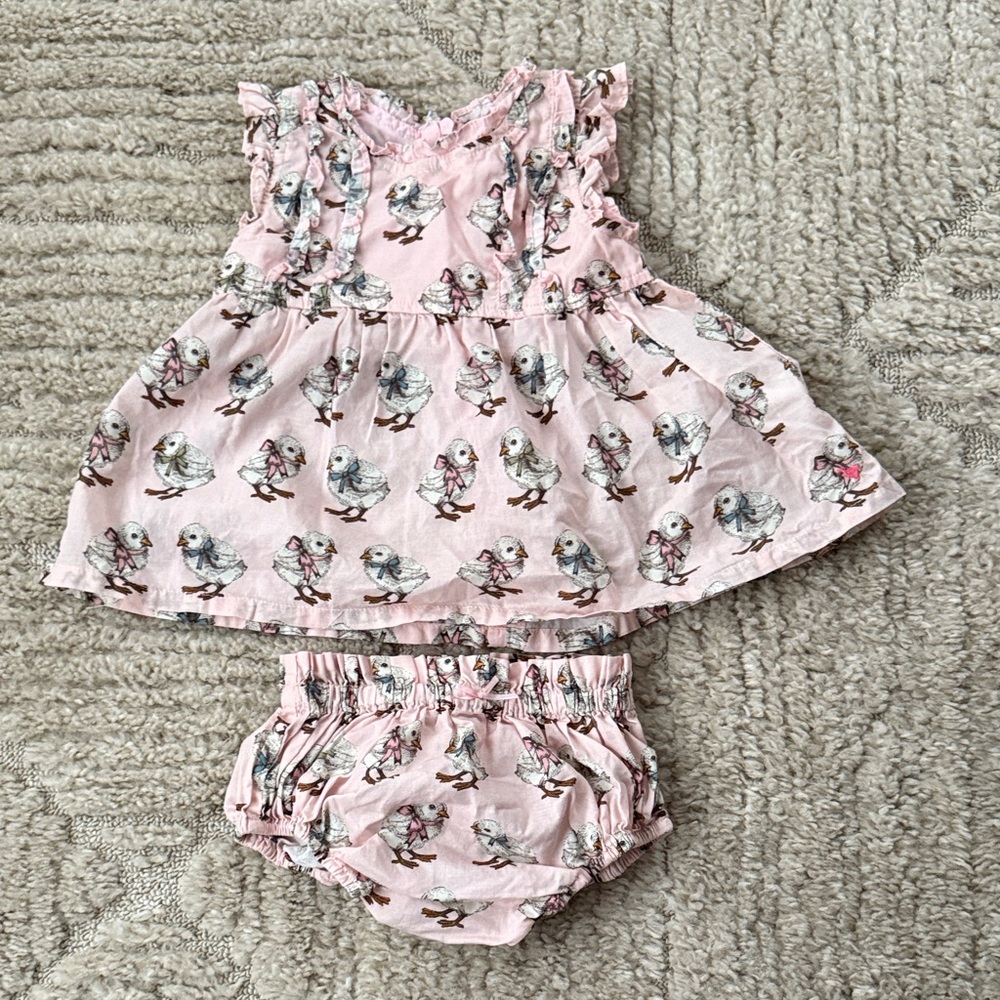Pink Chicken Blush Dress with Bird Design